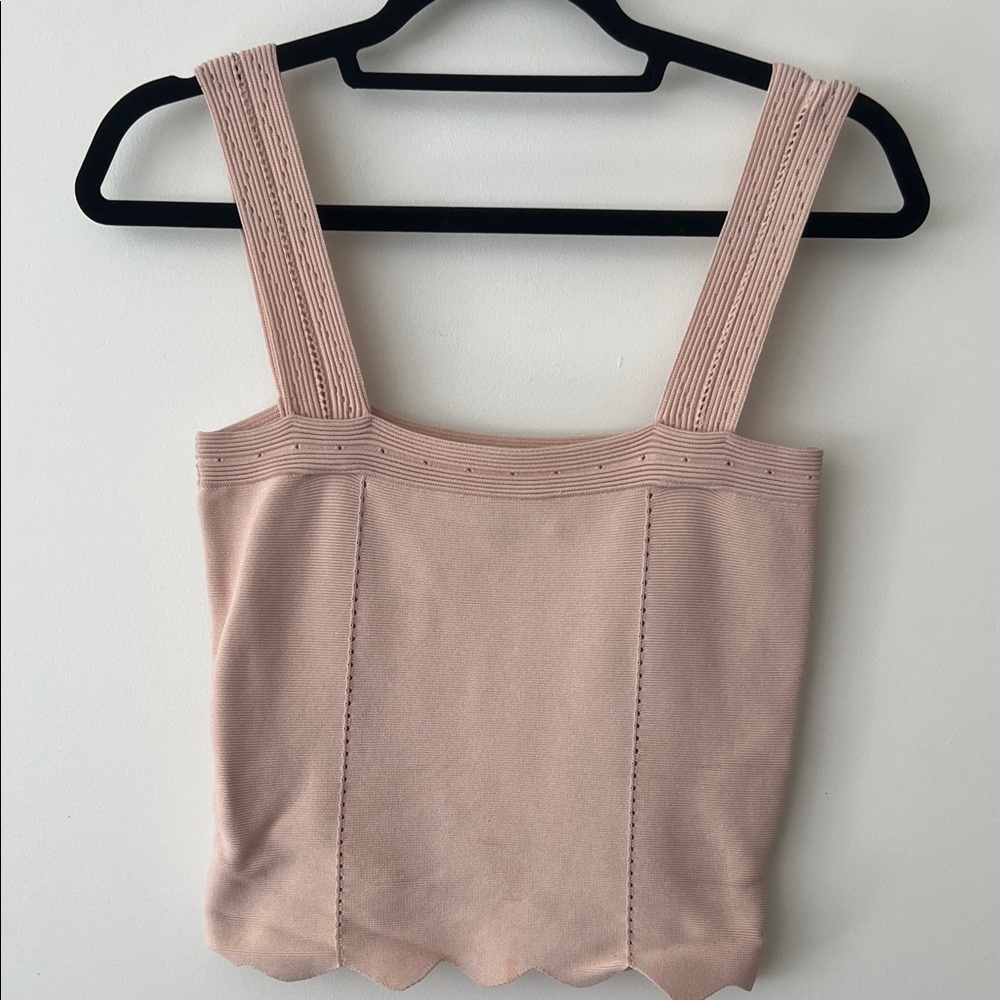 Sandro Blush Knit Top
